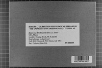 Sistotrema brinkmannii image