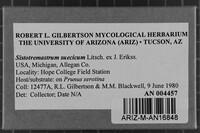 Image Associated With the Occurrence