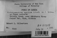 Image Associated With the Occurrence