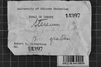 Image Associated With the Occurrence