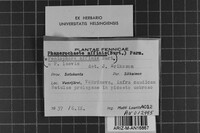 Image Associated With the Occurrence