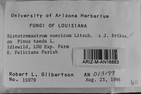 Image Associated With the Occurrence