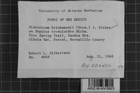 Sistotrema brinkmannii image