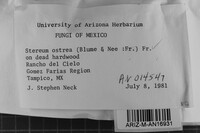 Image Associated With the Occurrence