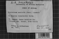 Sistotrema muscicola image