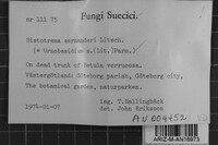 Sistotrema sernanderi image