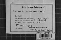 Image Associated With the Occurrence