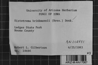 Sistotrema brinkmannii image