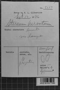 Image Associated With the Occurrence