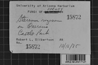 Image Associated With the Occurrence