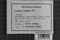 Image Associated With the Occurrence