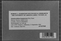 Image Associated With the Occurrence