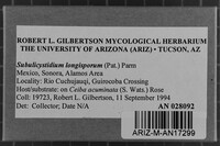 Image Associated With the Occurrence