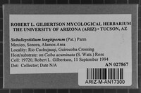 Image Associated With the Occurrence