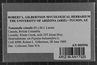 Image Associated With the Occurrence