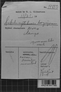 Image Associated With the Occurrence