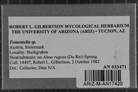 Image Associated With the Occurrence