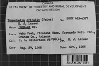 Image Associated With the Occurrence