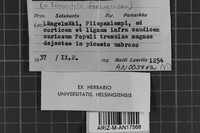 Image Associated With the Occurrence