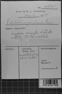 Image Associated With the Occurrence