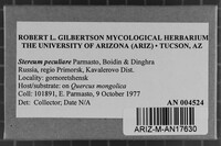 Image Associated With the Occurrence