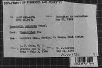 Image Associated With the Occurrence