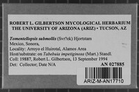 Image Associated With the Occurrence