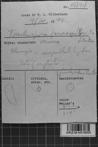 Image Associated With the Occurrence