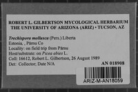 Image Associated With the Occurrence