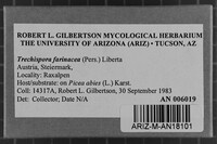 Image Associated With the Occurrence