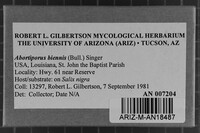 Abortiporus biennis image