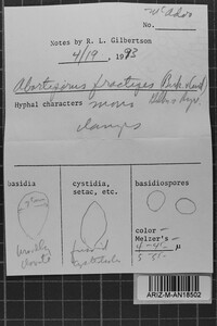 Loweomyces fractipes image