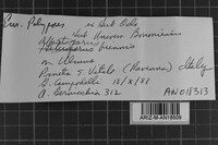 Image Associated With the Occurrence