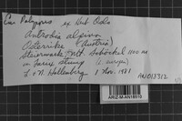 Image Associated With the Occurrence