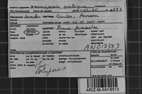 Image Associated With the Occurrence