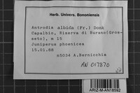 Image Associated With the Occurrence