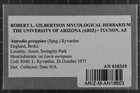 Image Associated With the Occurrence