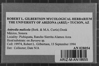 Image Associated With the Occurrence