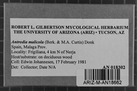 Image Associated With the Occurrence