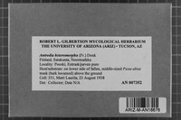 Image Associated With the Occurrence