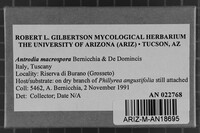 Image Associated With the Occurrence