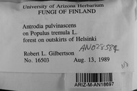 Image Associated With the Occurrence