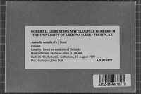 Image Associated With the Occurrence