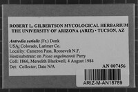 Antrodia serialis image