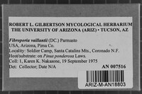 Fibroporia vaillantii image