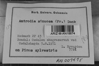 Image Associated With the Occurrence