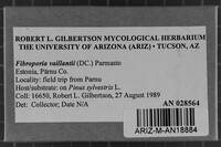 Image Associated With the Occurrence