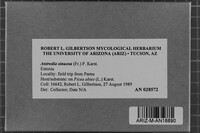 Image Associated With the Occurrence