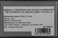Image Associated With the Occurrence