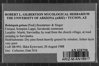 Image Associated With the Occurrence